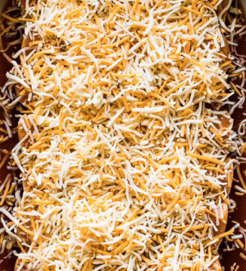 Shredded Chicken Enchiladas