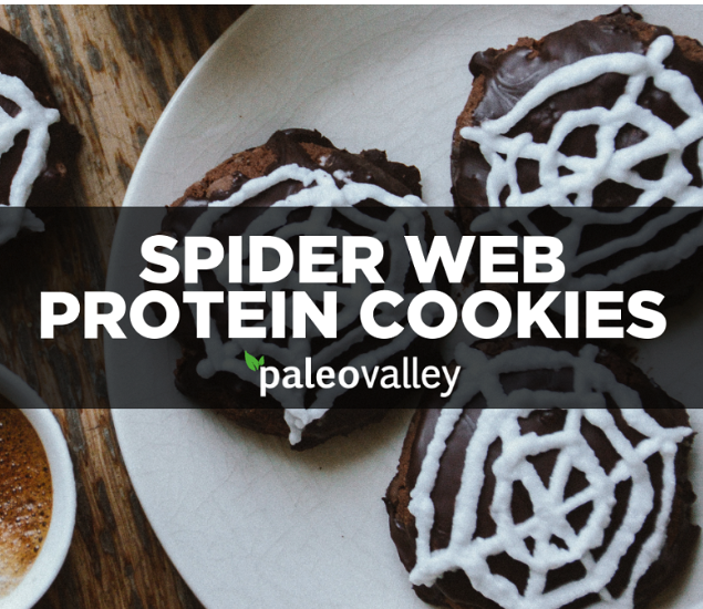 Spider Web Protein Cookies
